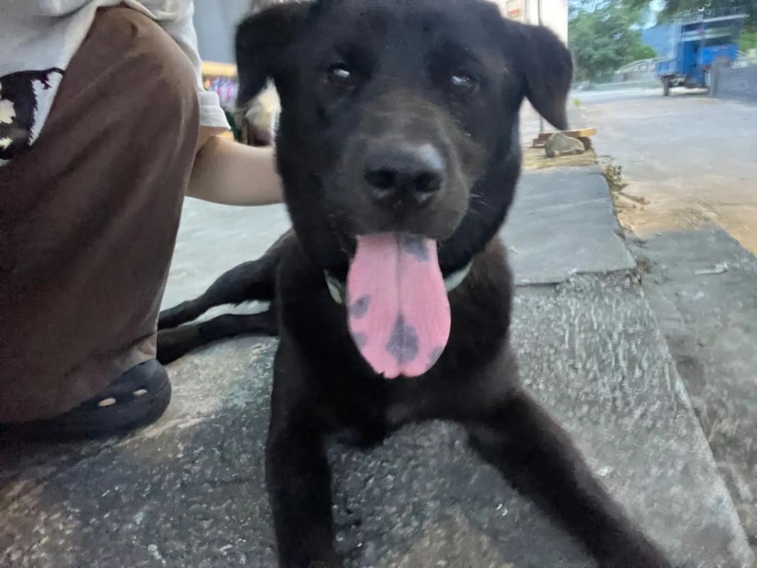 精品成AV人一区二区三区 就像图书馆里的精品分类书架