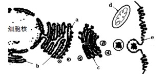 .视频 推荐软件、视频MOV 等）