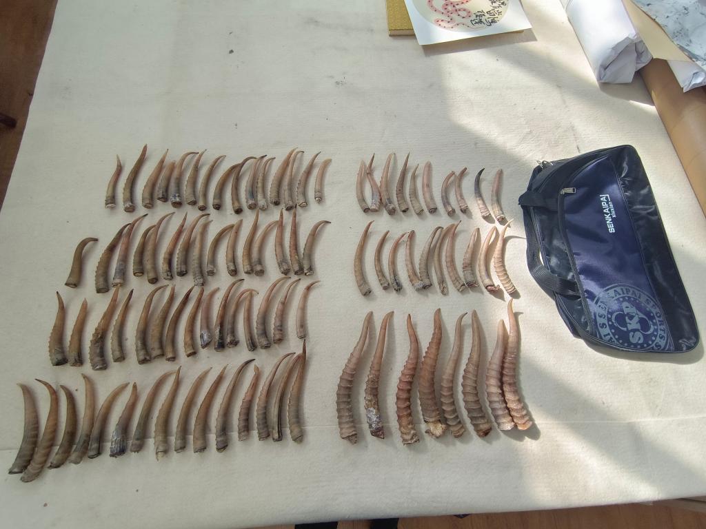 四虎在线影院永久 网站界面设计较为简单传统