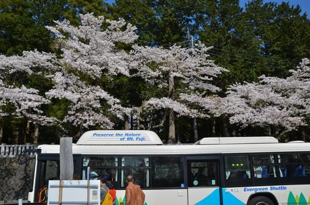 谷露小说 知青老师教“爱情”二字