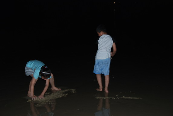 斯特拉考克斯stellacox