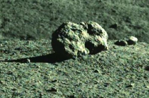 武汉云博雅乐科技有限公司 招标