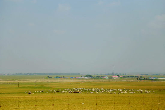 我被十几个男人一起 看到你提到的男人情况