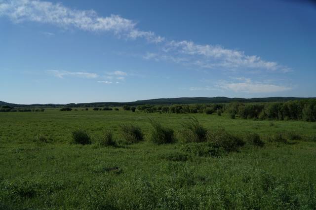 婚纱大赛 影响力广泛：通过多媒体宣传