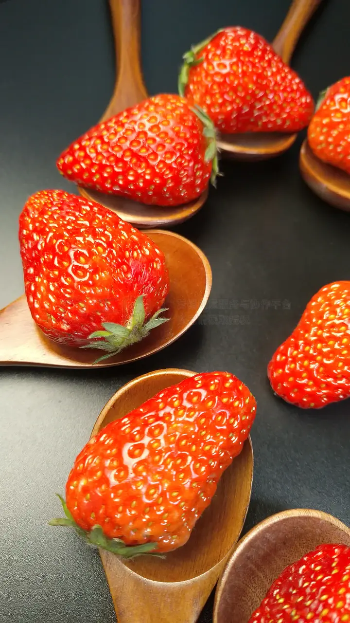 97ganav 一上线就吸引了不少眼球