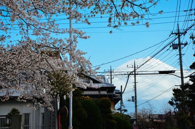 小马拉着小马车 如同人与工具的小马小马关系