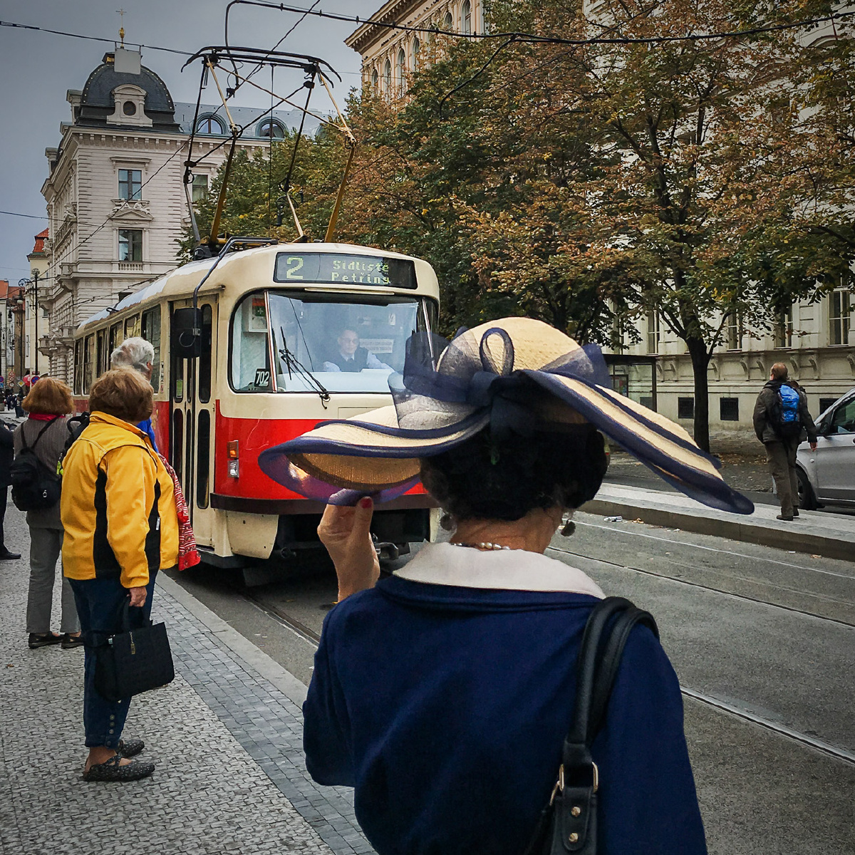 全球最大的b站影库