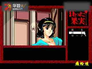 火影忍者天天 天天开朗、火影成为了老板娘