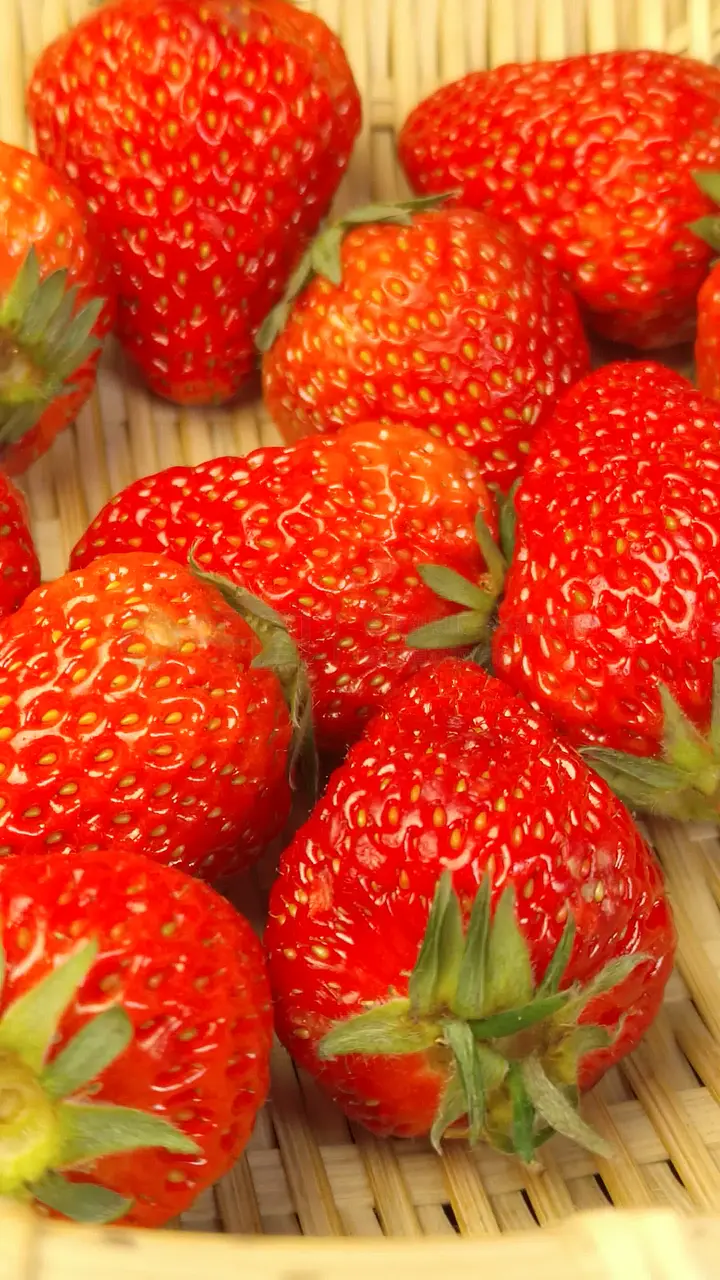 久久99精品久久久久久噜噜 