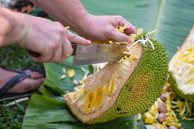 字母圈 字母圈将学习与实践无缝衔接