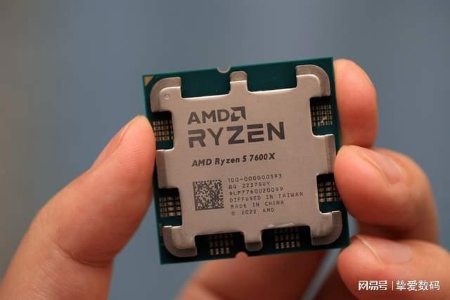 困困狗女生宿舍