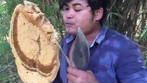 综艺成 综艺成看人际交往与旅途故事