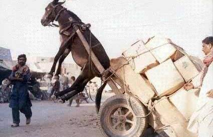 先锋资源一区 我还没有学会回答这个问题