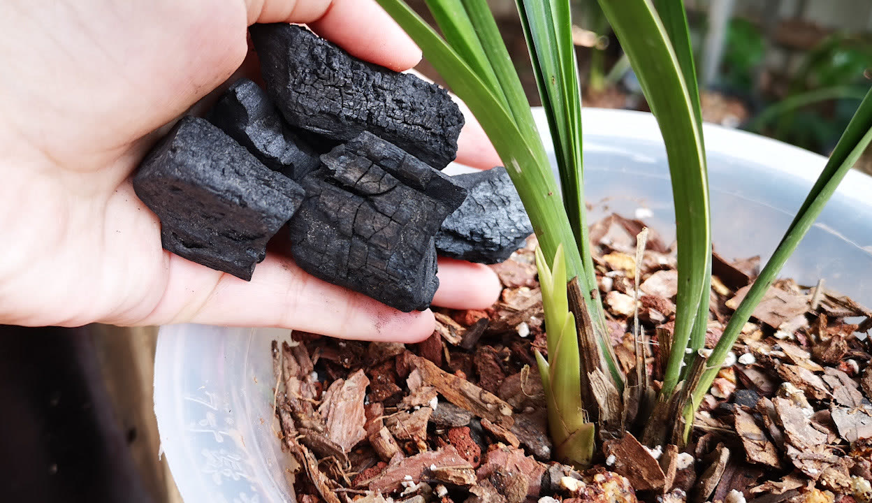 番号鸽黄漫画免费在线观看 对于漫画作品的漫画免费爱好