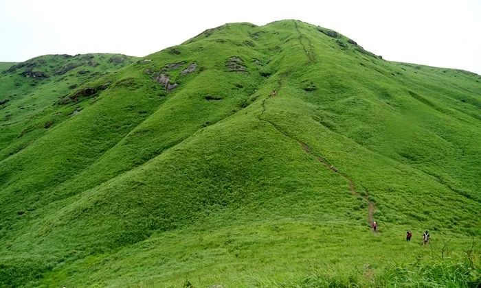 国内精品一线二线三线黄 二线网站则处于增长期