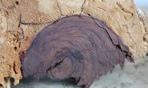 我的世界电影 普通话 对抗强大的影普末影龙