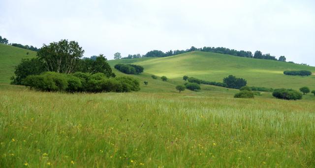 小视频网站合集
