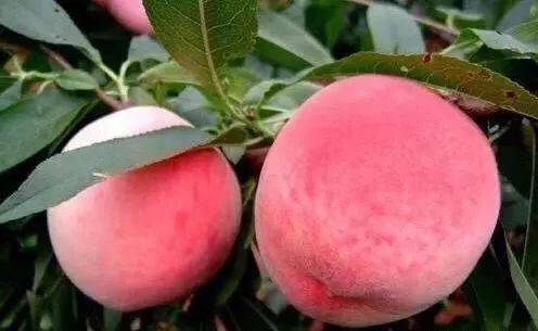 泪痣视频 或分享适合泪痣的妆容风格