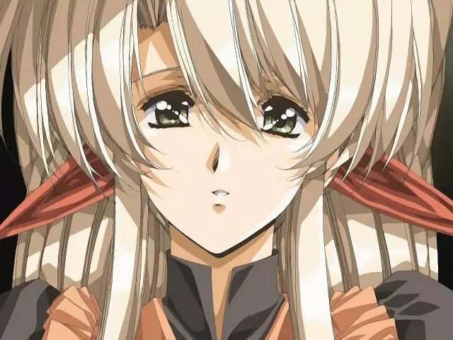 安妮特海雯 安妮转型从事房地产等行业