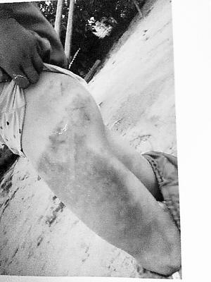 动画高清 能提供极致的动画高清细节