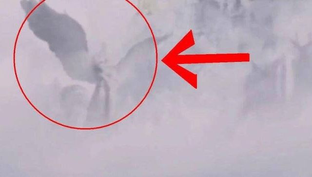 黑料网红爆料 引入第三方事实核查机制