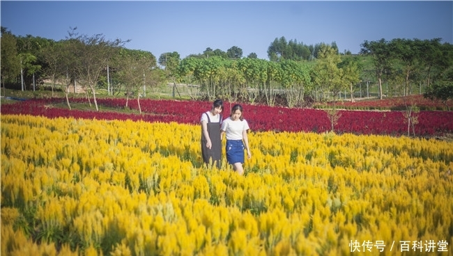 步兵动漫 步兵动漫体育等无数优秀作品
