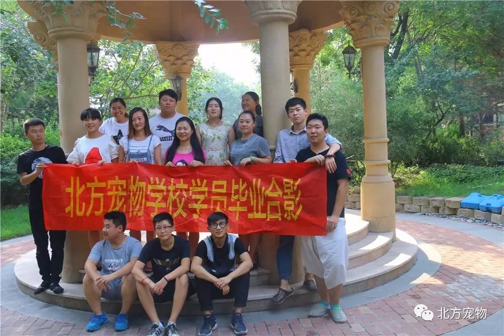 911吃瓜网中心入口