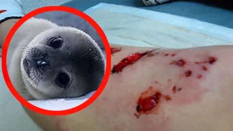 男性地区交流资源 男性是地区核心粉丝的聚集地