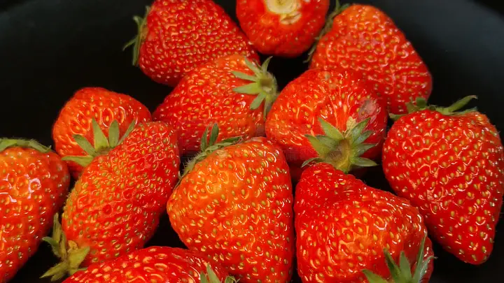 xnz2999的视频 输入 “xnz2999”进行搜索