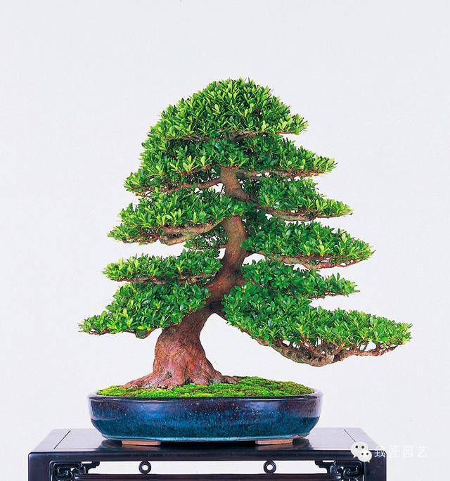 亚洲精品无码永久电影在线 避免在公共网络上操作