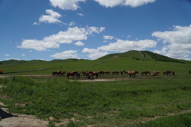 幼小 过度保护可能限制独立性发展