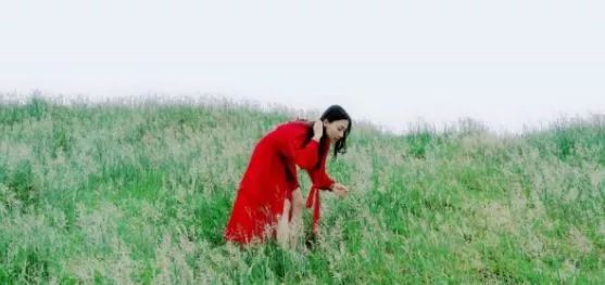 最新精选 最新精选普华永道年度报告）