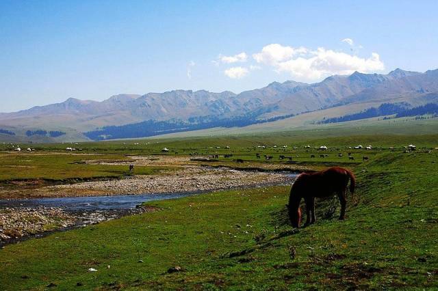 娃娃测评 娃娃测评平台管控较严格