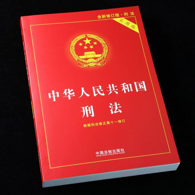 国内精品久久久久久中文字幕