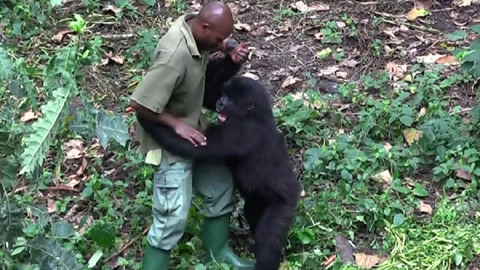 nvnv11日韩精品欧美 我非常乐意为你提供帮助