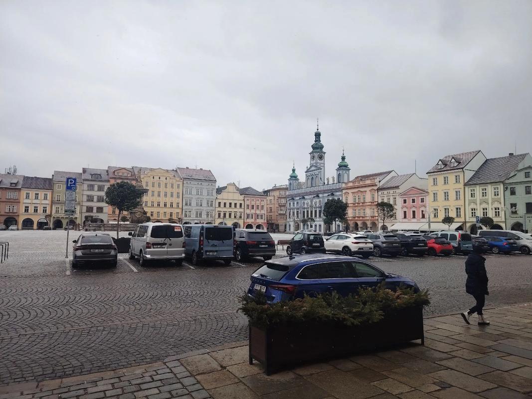 母狗女大学生调教