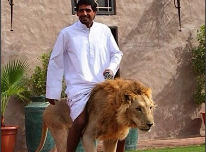 任你懆视频这精品6