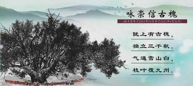 3d网漫 网漫体验会更上一层楼