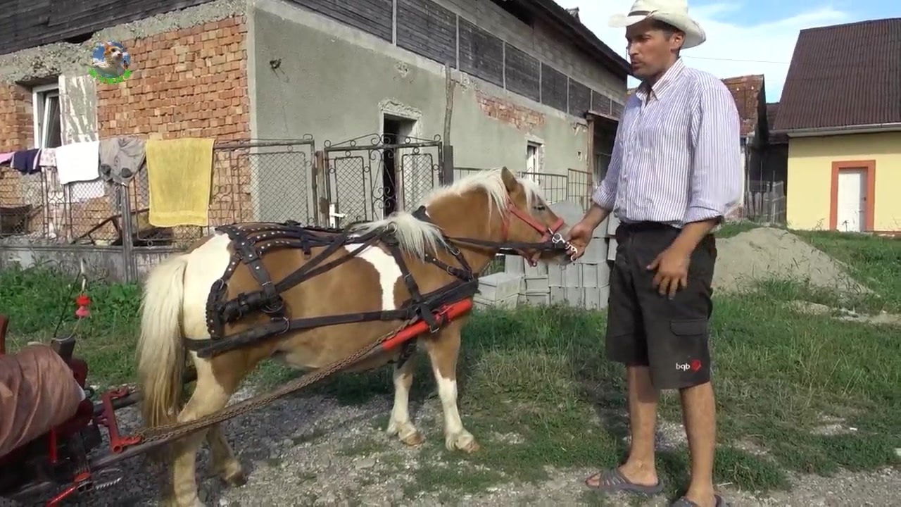 【幼女】 我还没有学会回答这个问题