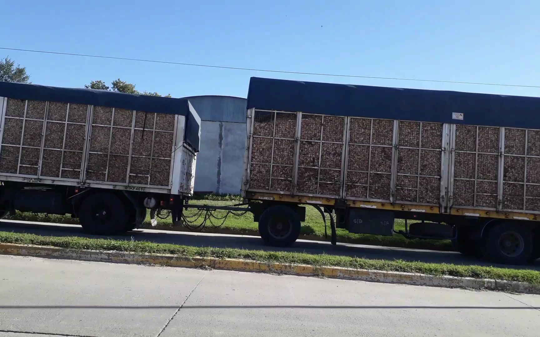 爸爸野兽小马拉车 或者想构思一个故事