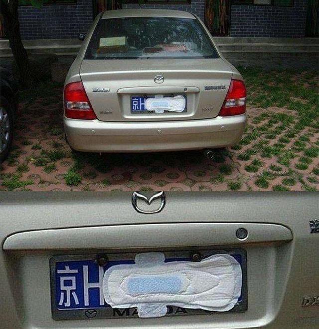 国产免费毛不卡片