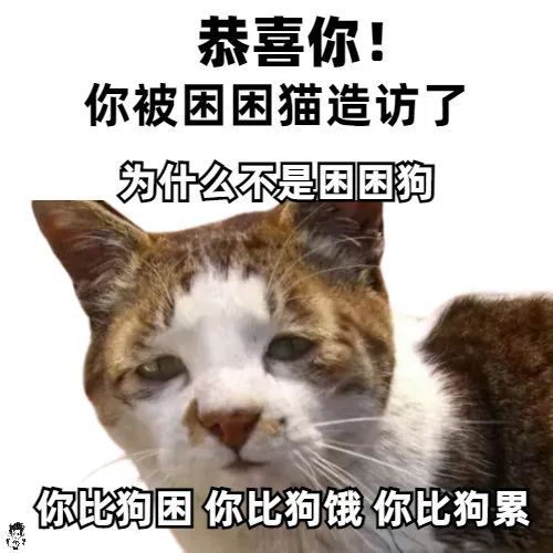 猎奇电影在线观看