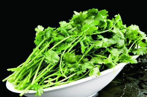 最新版天堂中文在线