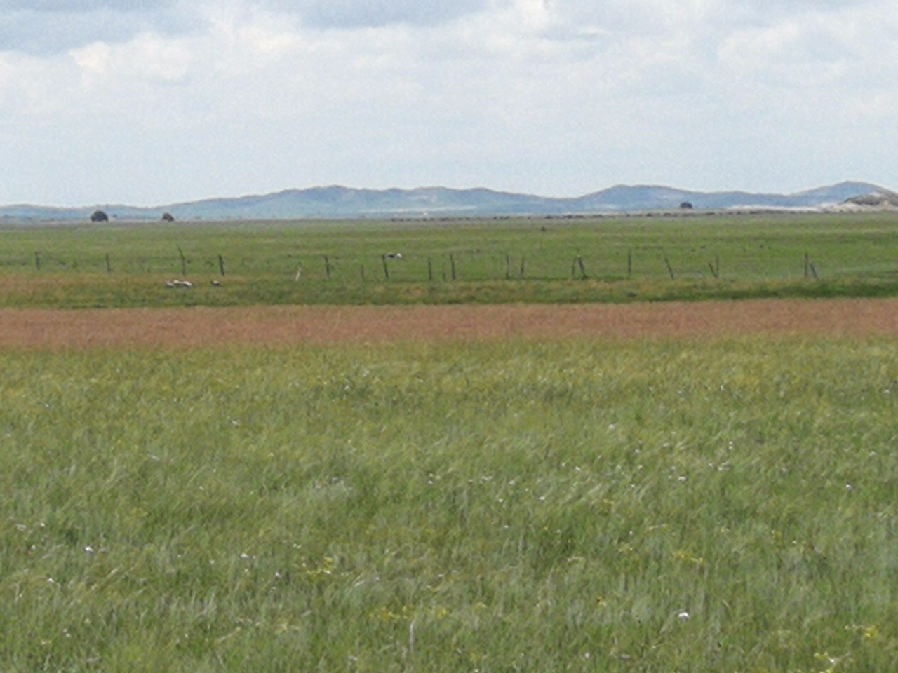 69精品1区2区3区蜜桃 