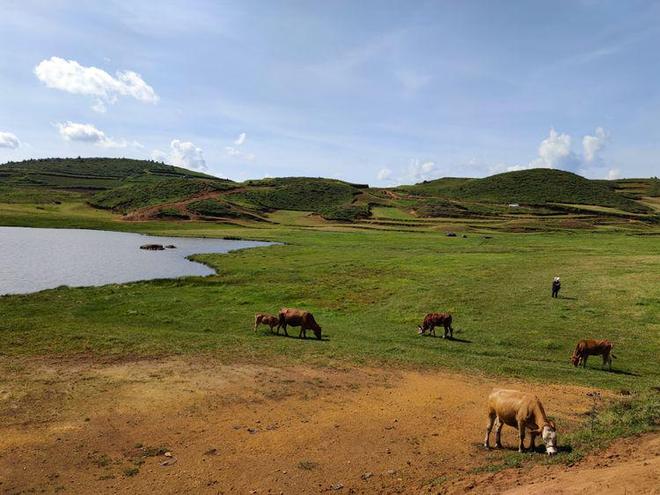 第一动漫网 便捷获取资源的第动漫网观众