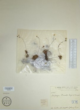 地铁3d同人 死城杜克夫斯卡亚站