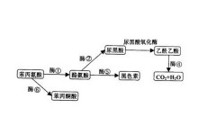 国产精品国产精品一区