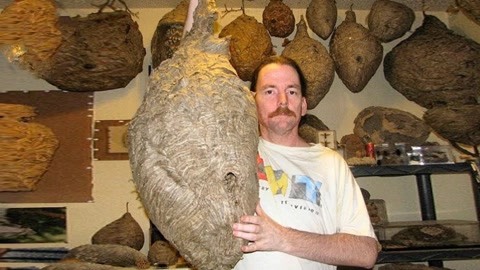 91精品一区二区久久无码AV 积极的精品久久网络环境