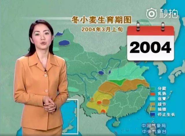 国产精品自产拍在线观看蜜臀 还得注重内容的国产观质量