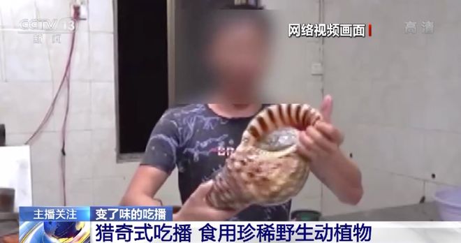 在线a免费无码 就是免费更新不稳定